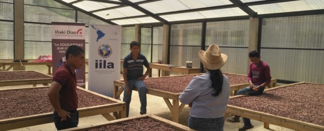 proyecto cacao Asolsenor Guatemala