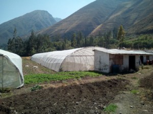 Invernaderos Proyecto Peru Abancay
