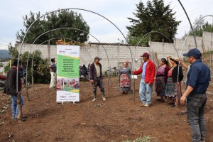 Proyecto FUDI. F. Esperanza